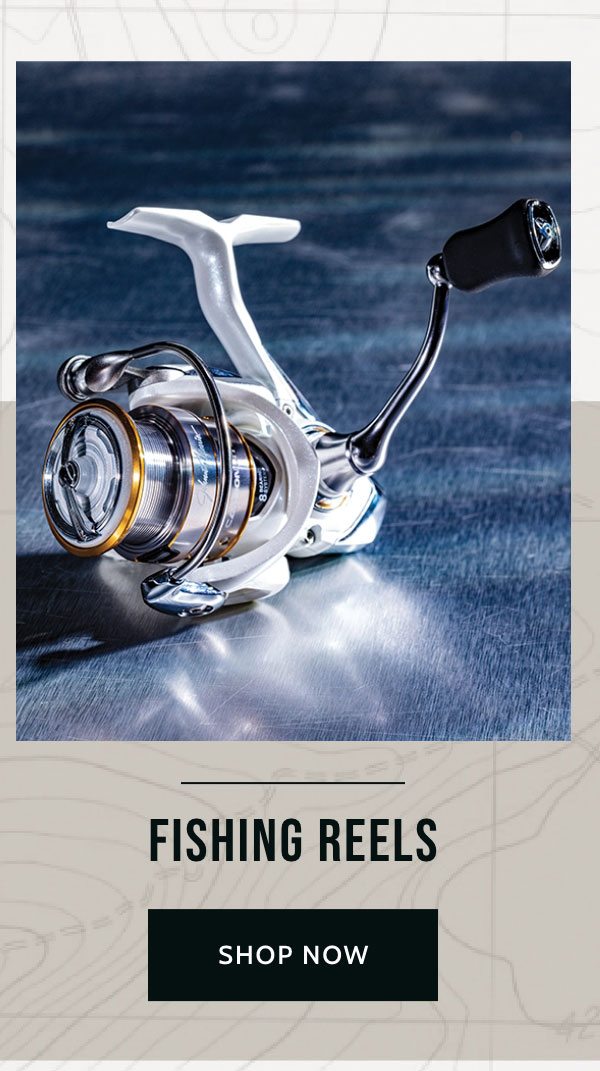 Fishing reels