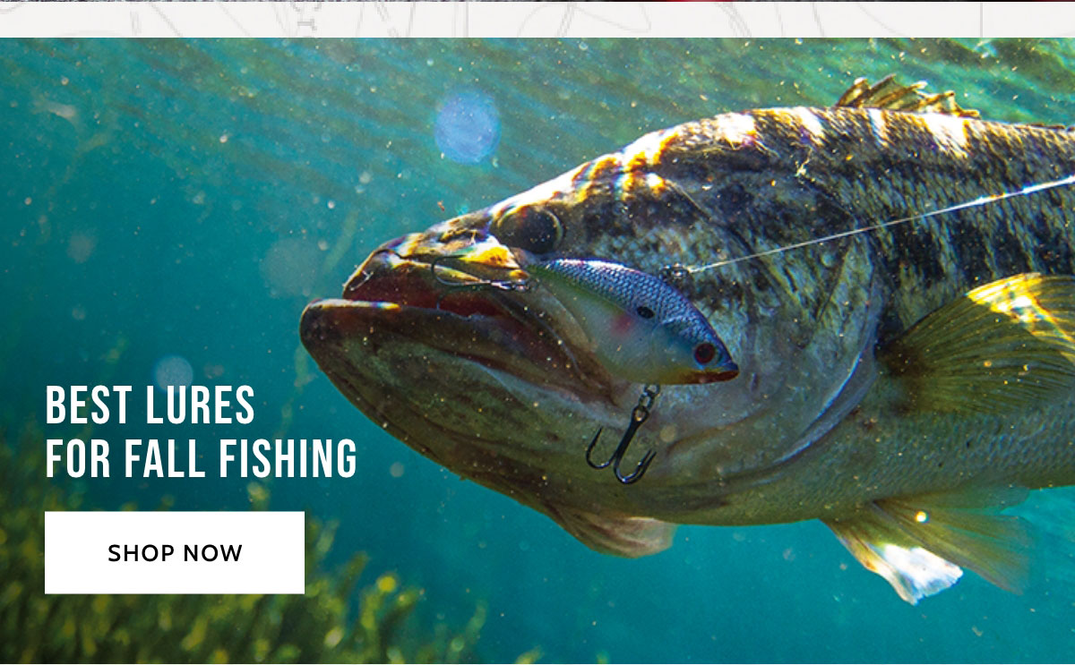 Best Lures