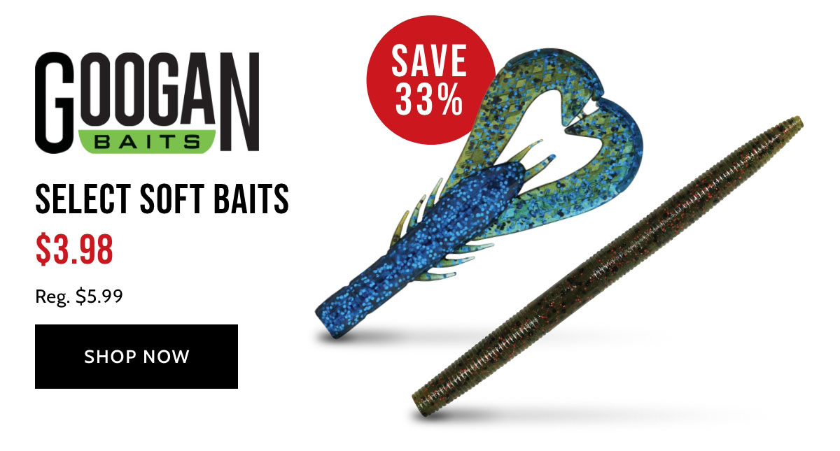 Googan Baits