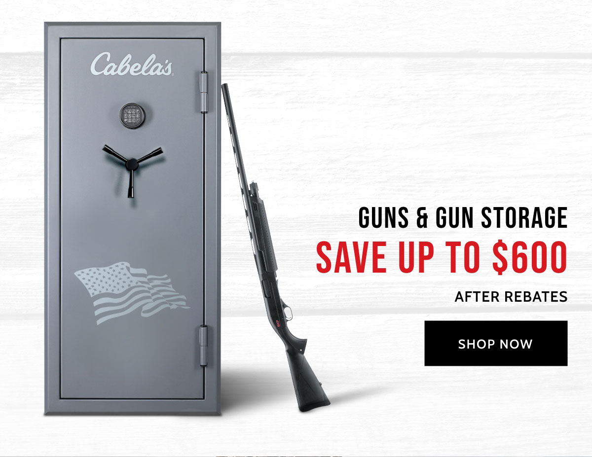 Holiday Guns and Gun Storage