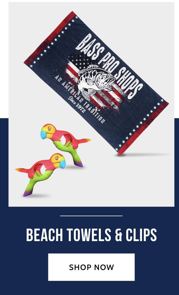 Beach Towels and Clips