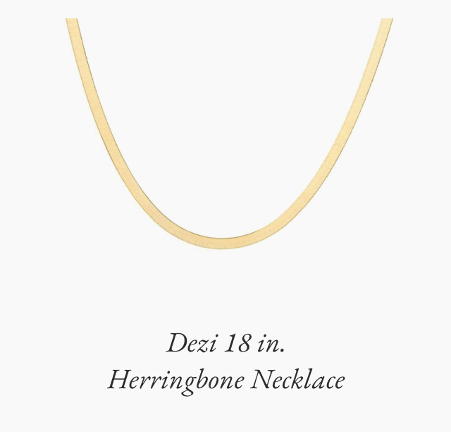 Dezi 18 in. Herringbone Necklace 