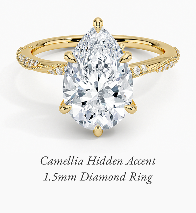 Camellia Hidden Accent 1.5mm Diamond Ring