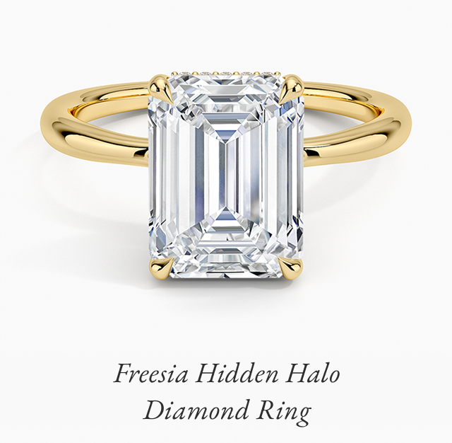 Freesia Hidden Halo Diamond Ring