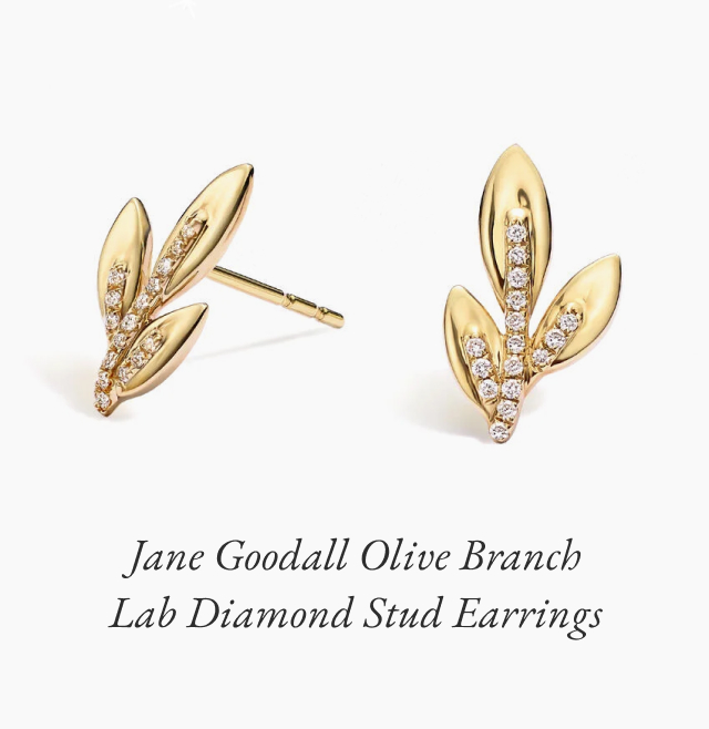 Jane Goodall Olive Branch Lab Diamond Stud Earrings