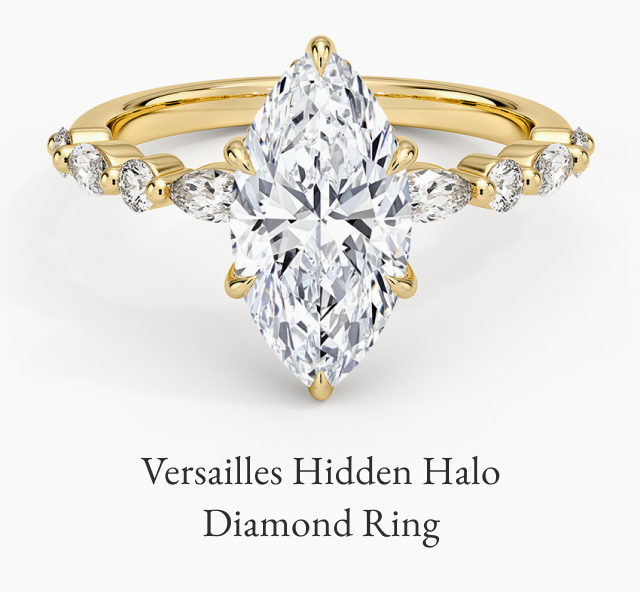 Versailles Hidden Halo Diamond Ring