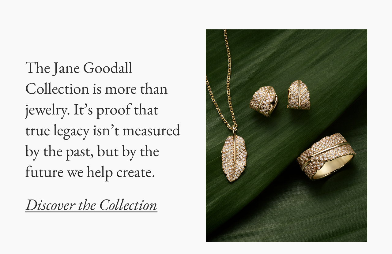 Discover the Collection