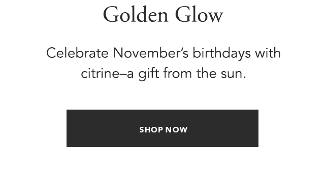 Shop the Gift Guide