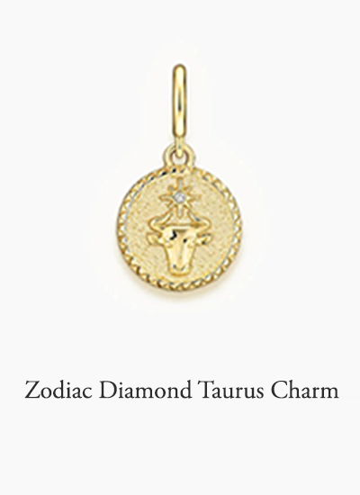 Zodiac Diamond Taurus Charm