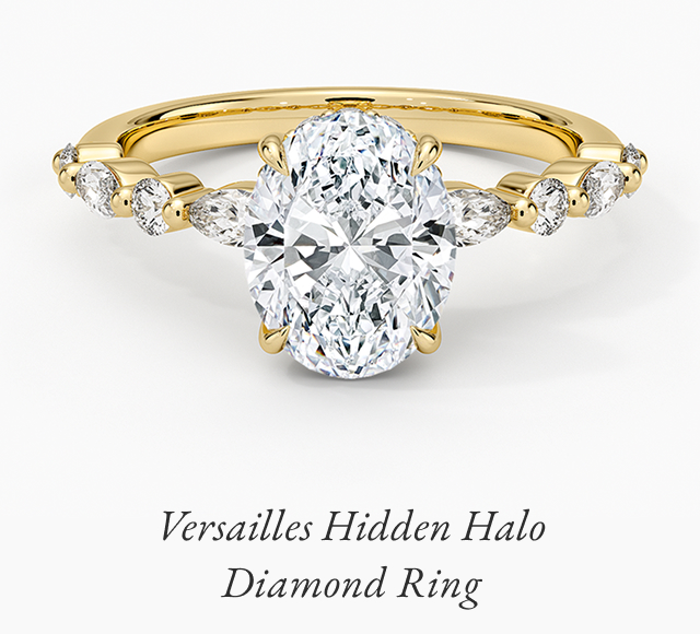 Versailles Hidden Halo Diamond Ring