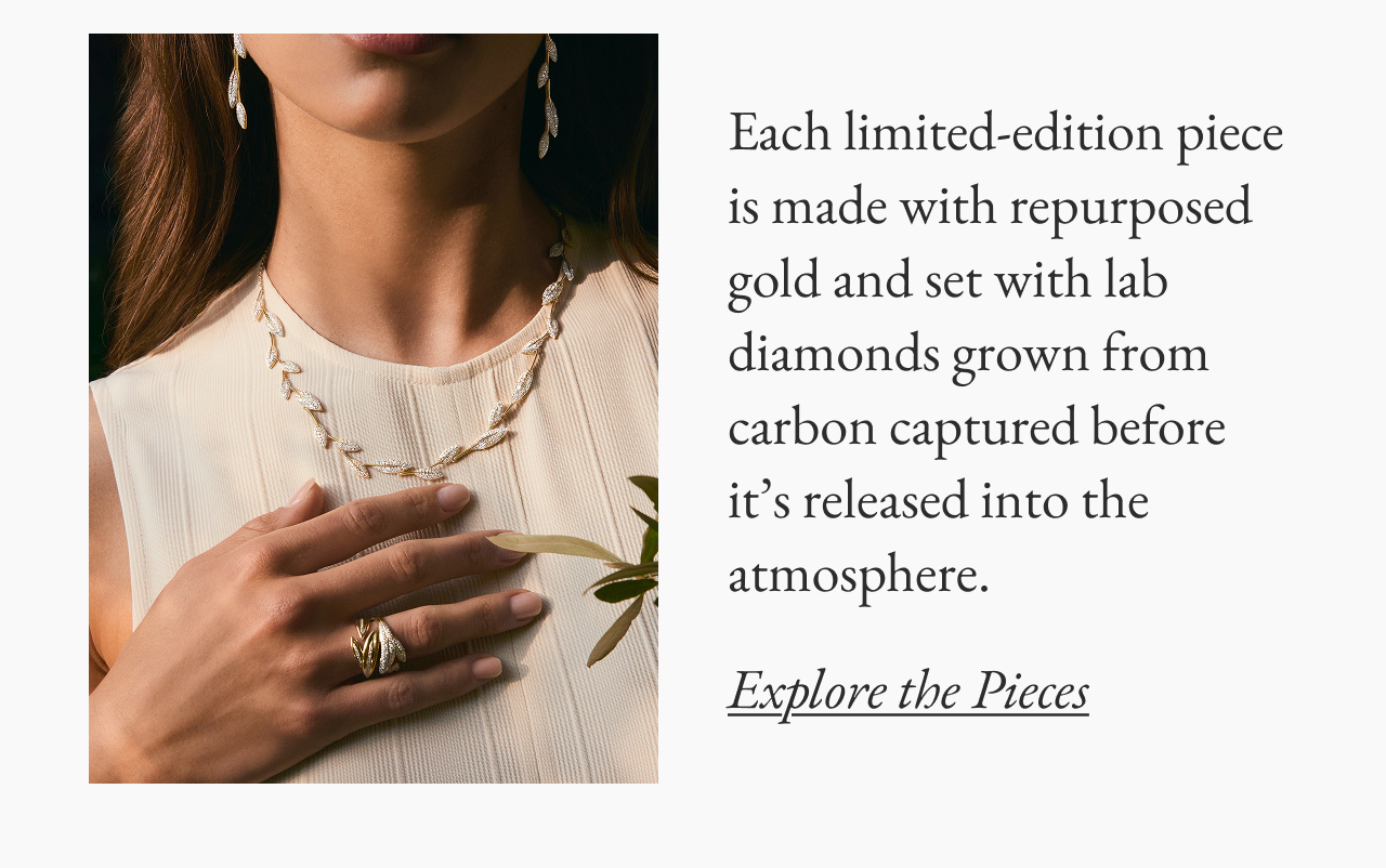 Explore the Pieces