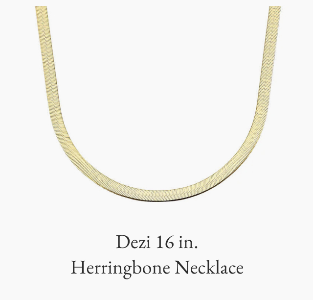 Dezi 16 in. Herringbone Necklace 