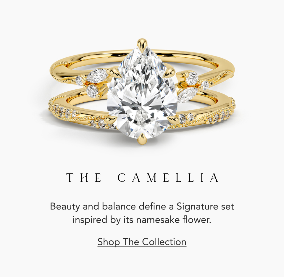Shop the Collection