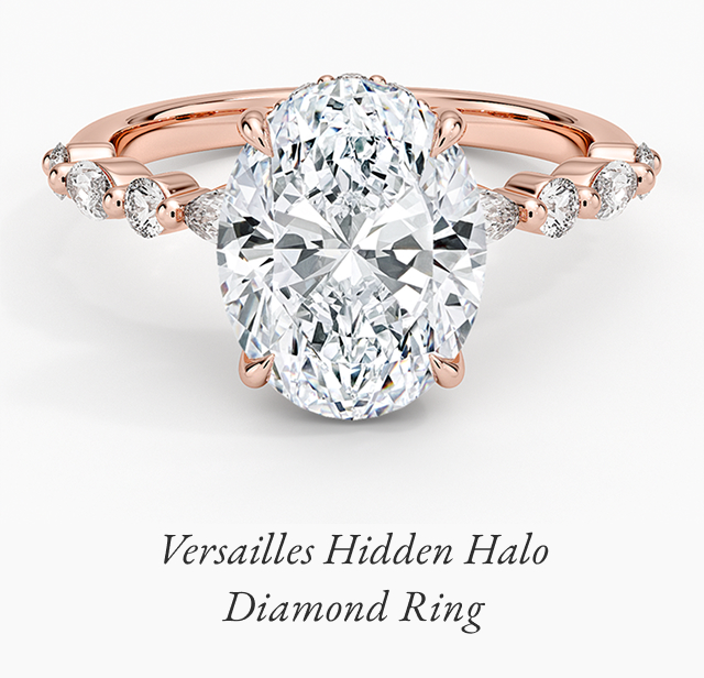 Versailles Hidden Halo Diamond Ring
