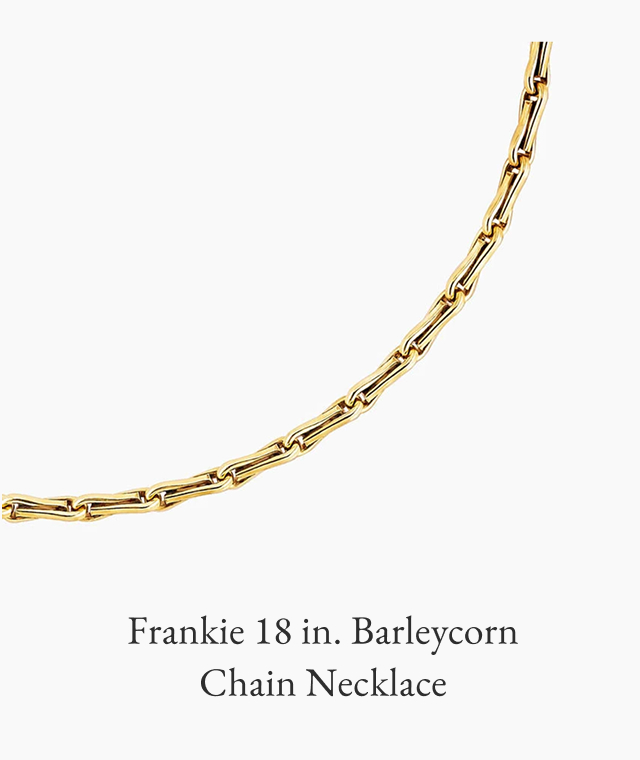 Frankie 18 in. Barleycorn Chain Necklace