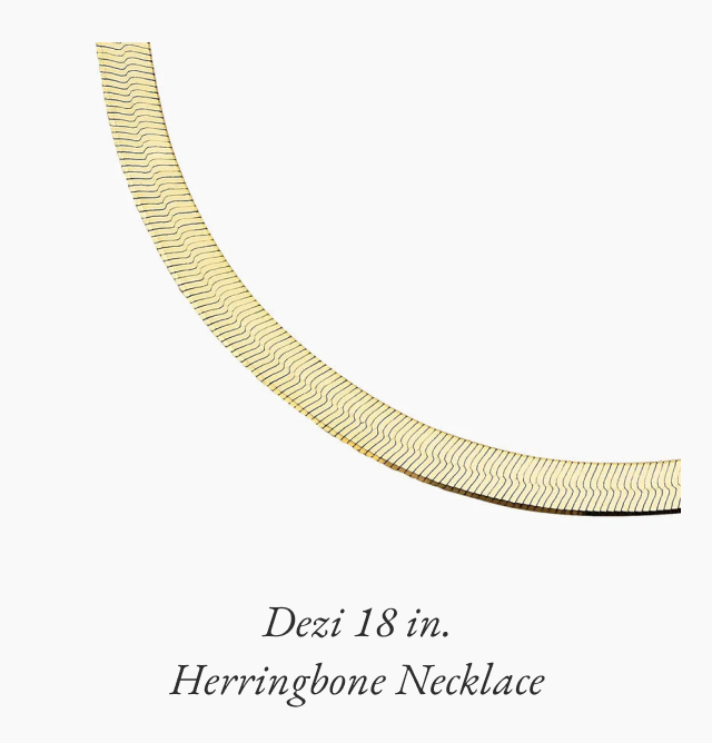Dezi 18 in. Herringbone Necklace