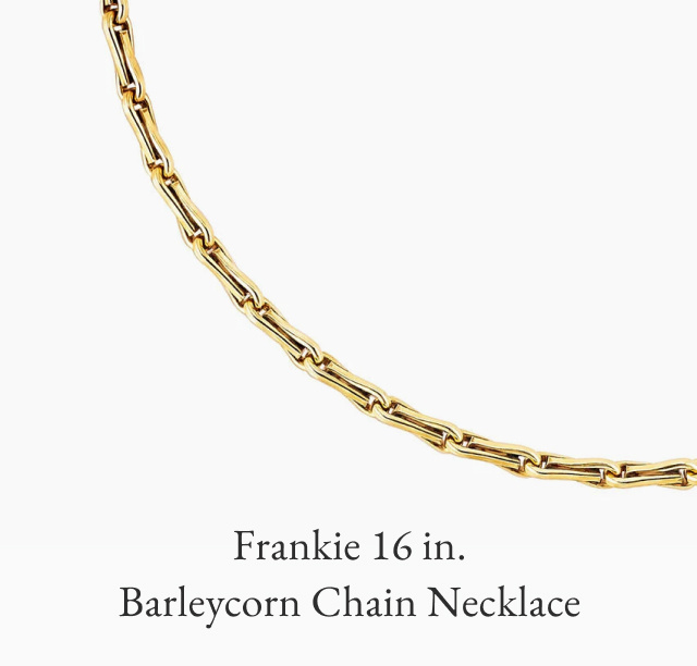 Frankie 16 in. Barleycorn Chain Necklace
