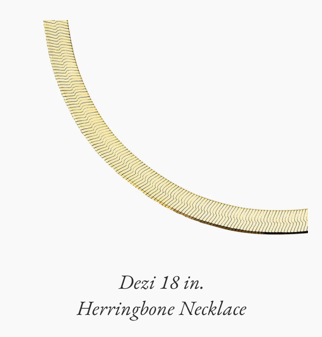 Dezi 18 in. Herringbone Necklace