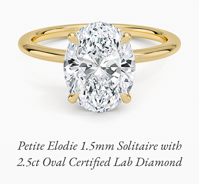 Petite Elodie 1.5mm Solitaire with 2.5ct Oval Certified Lab Diamond