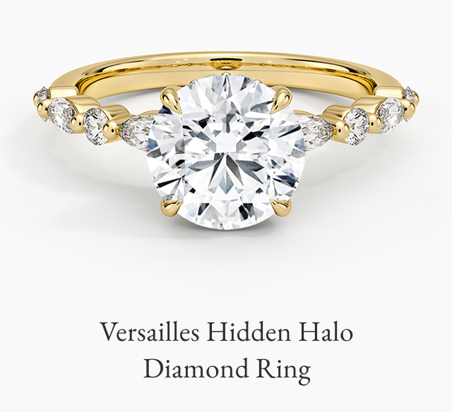 Versailles Hidden Halo Diamond Ring