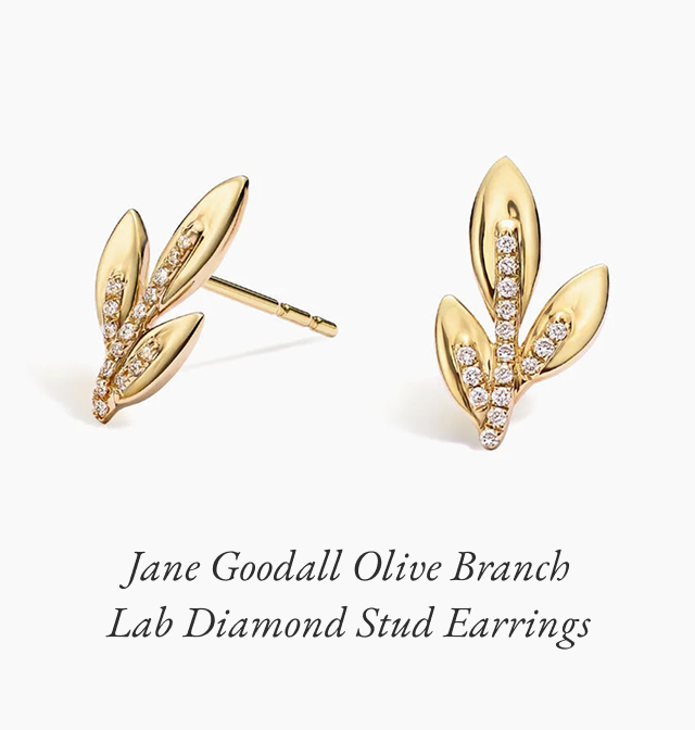 Jane Goodall Olive Branch Lab Diamond Stud Earrings