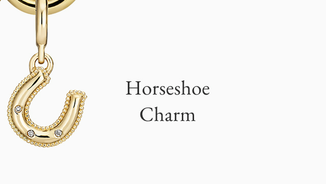 Horseshoe Diamond Charm