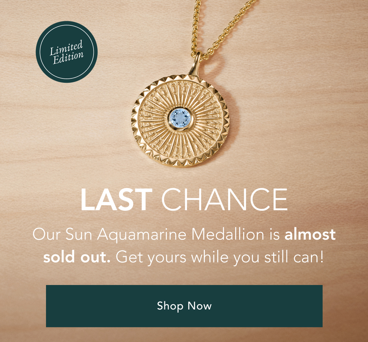 Shop Now