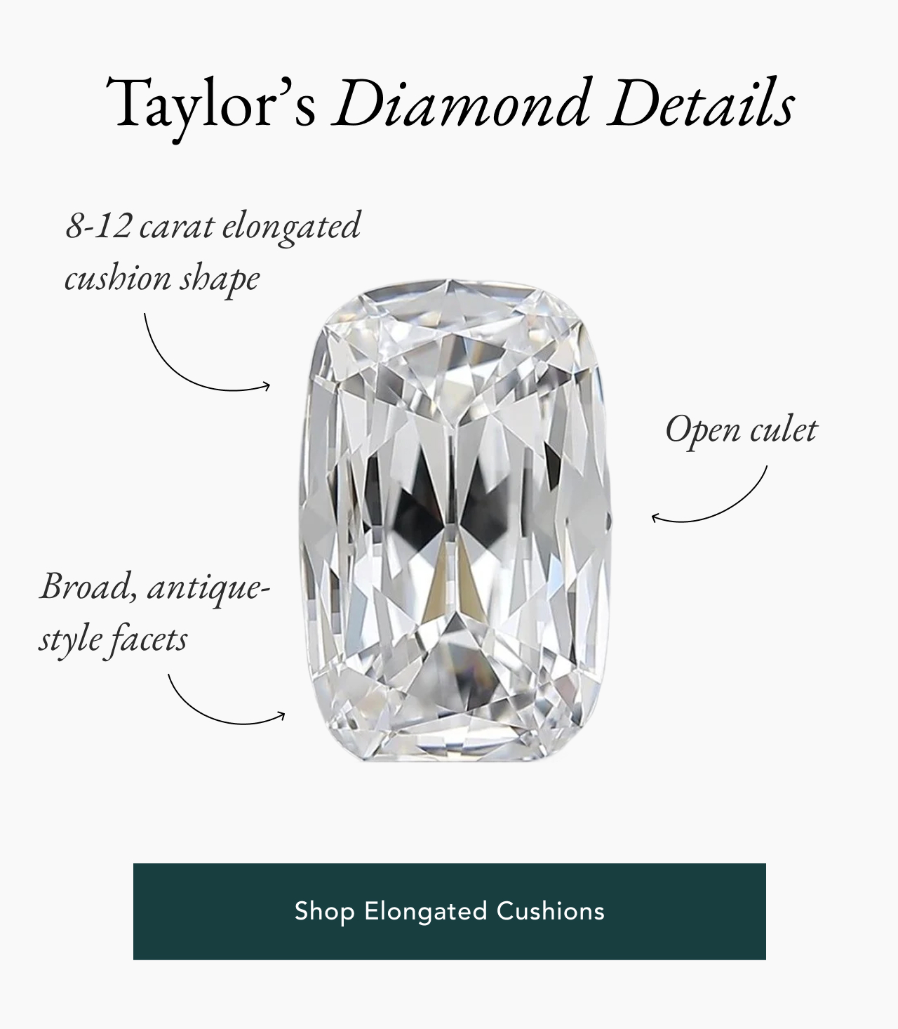 Shop Elongated Cushions