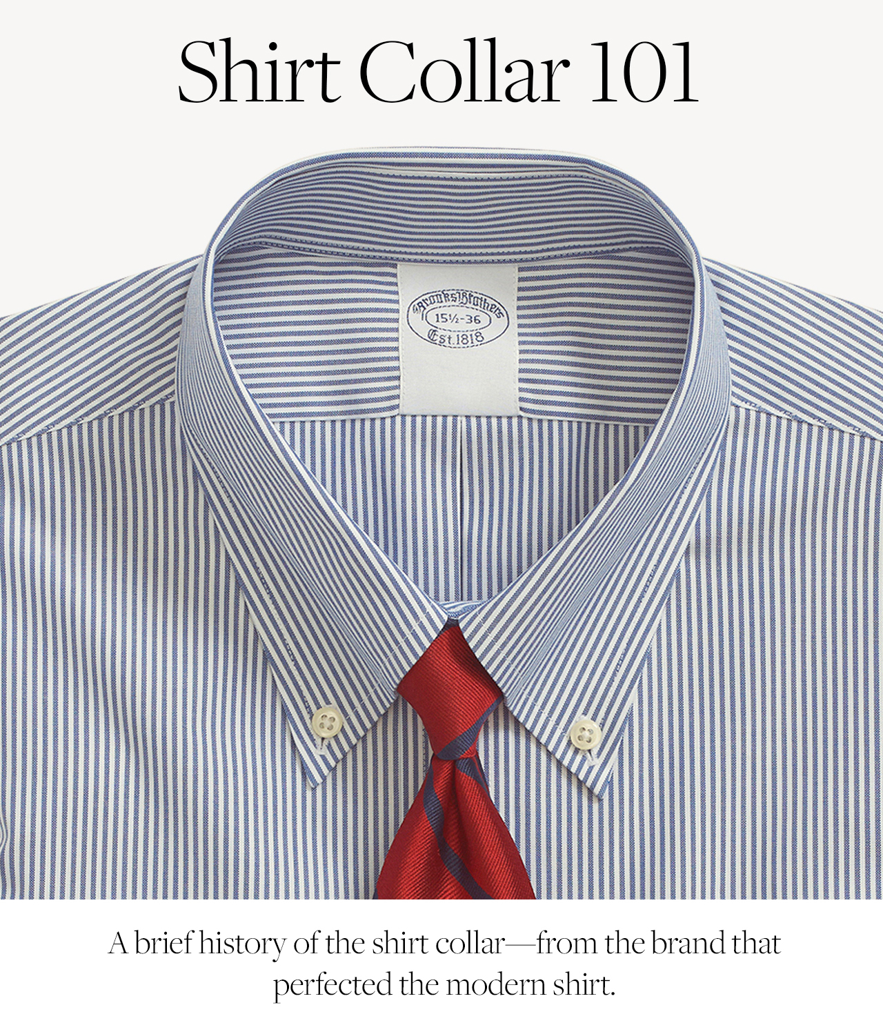 Shirt Collar 101