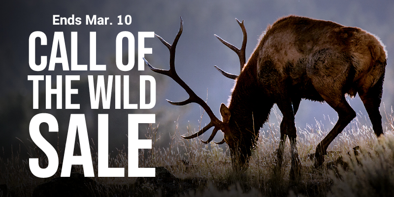 Call of the Wild Sale - Ends Mar. 10