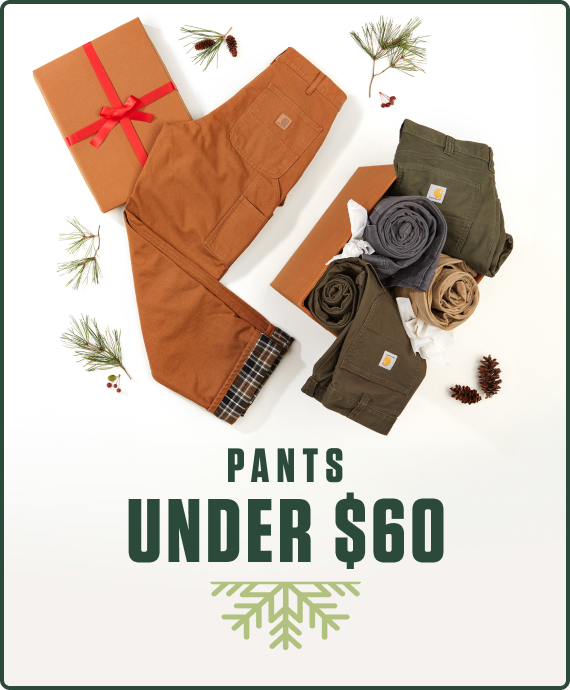 PANTS UNDER $60