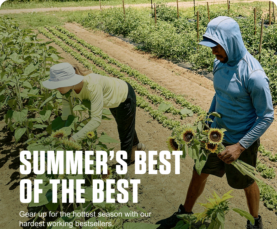 SUMMER'S BEST OF THE BEST