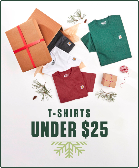 T-SHIRTS UNDER $25