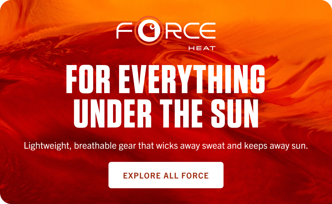Force