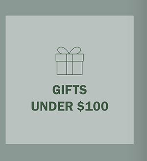 GIFTS UNDER $100