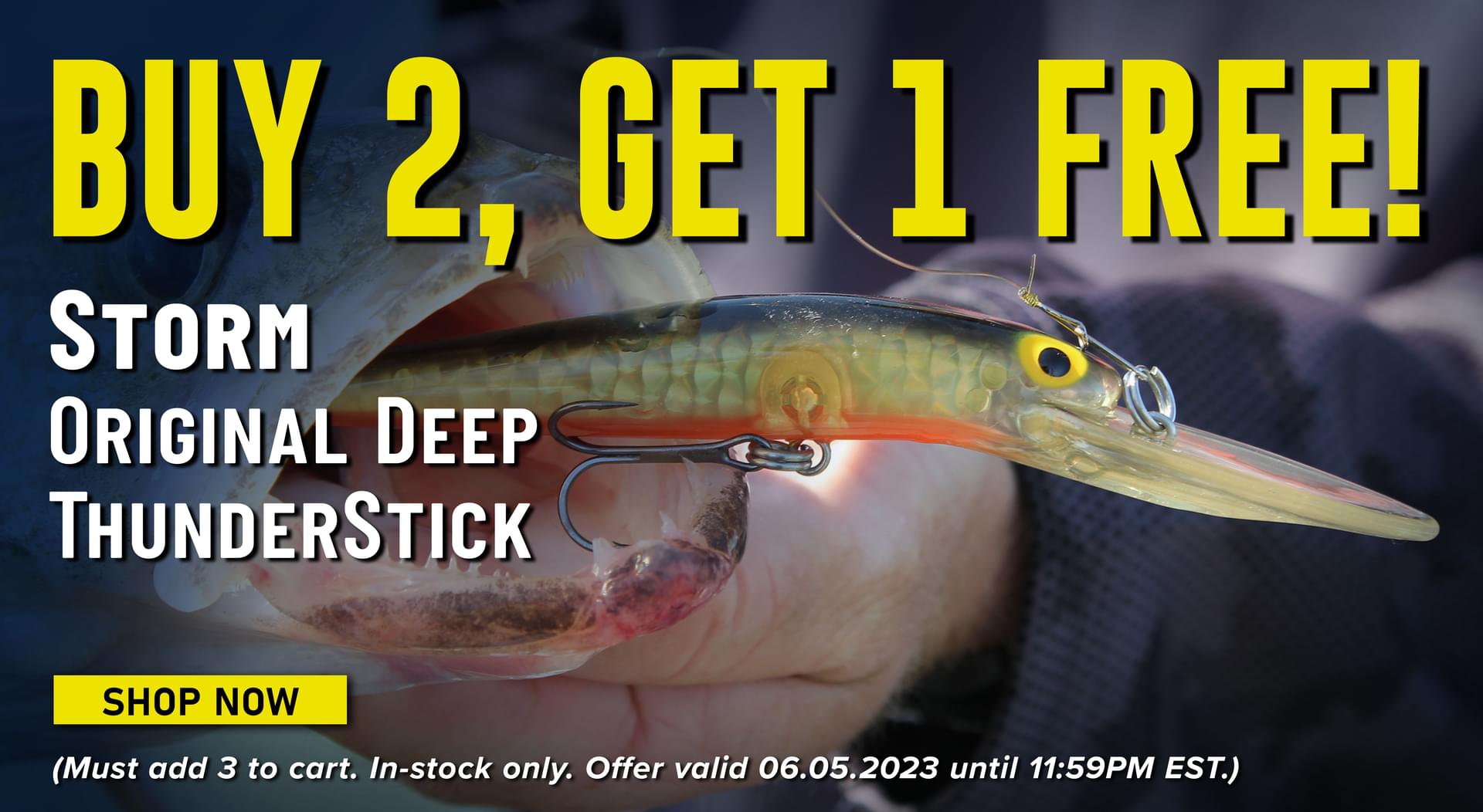 Buy 2, Get 1 Free! Storm Original Deep ThunderStick Shop Now (Must add 3 to cart. In-stock only. Offer valid 06.05.2023 until 11:59PM EST.)