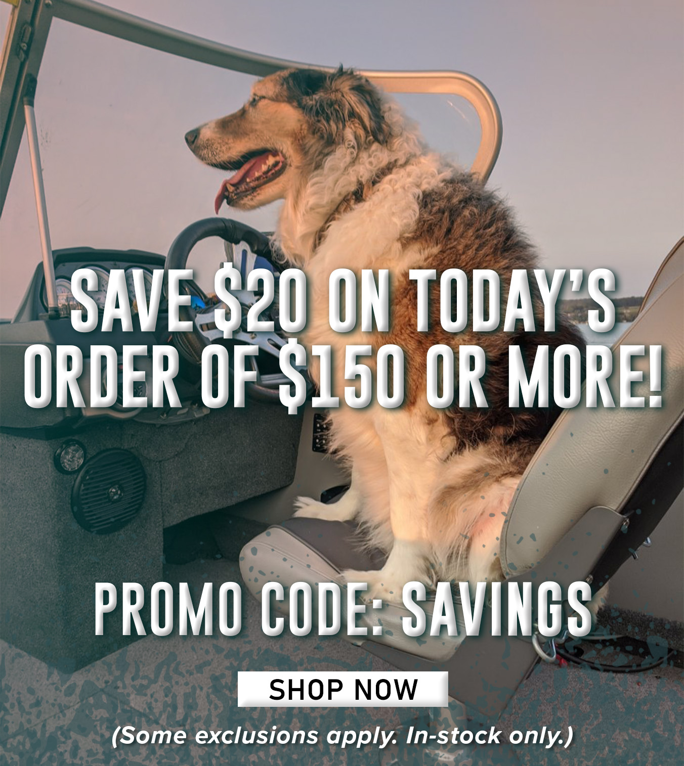 Save $20 on today's order of $150 or more! Promo Code: SAVINGS Shop Now (Some exclusions apply. In-stock only.)