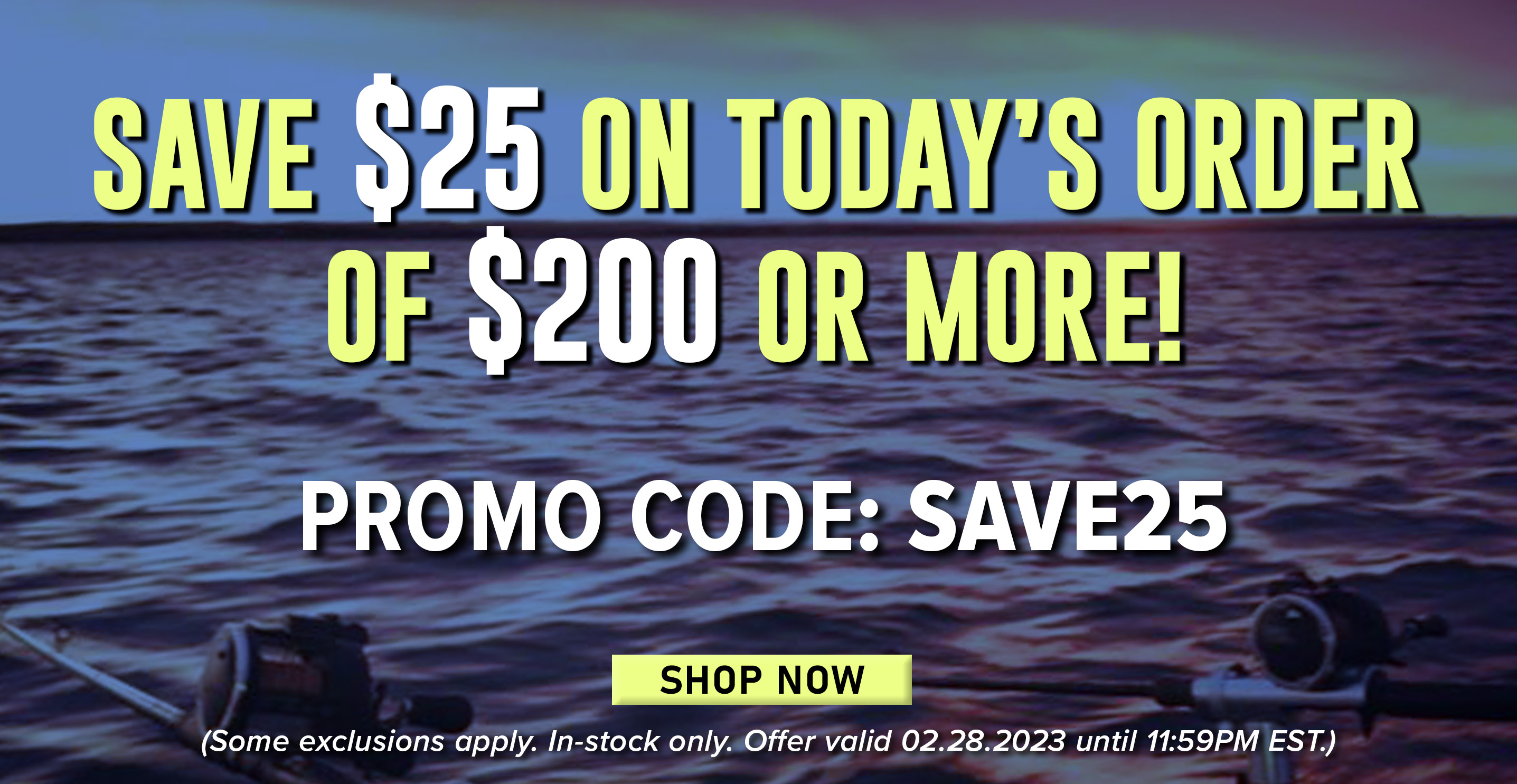 Save $25 On Today's Order of $200 Or More! Promo Code: SAVE25 Shop Now (Some exclusions apply. In-stock only. Offer valid 02.28.2023 until 11:59PM EST.)