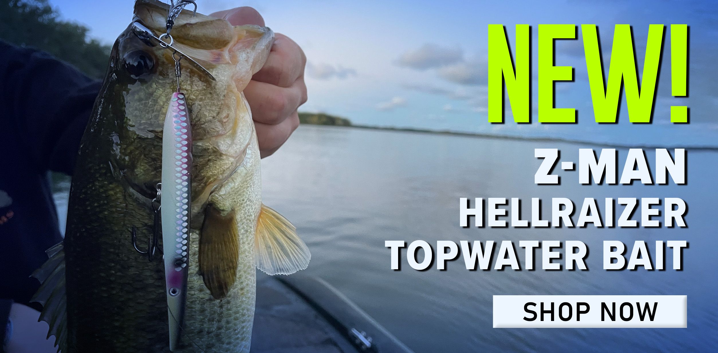 New! Z-Man Hellraizer Topwater Bait Shop Now