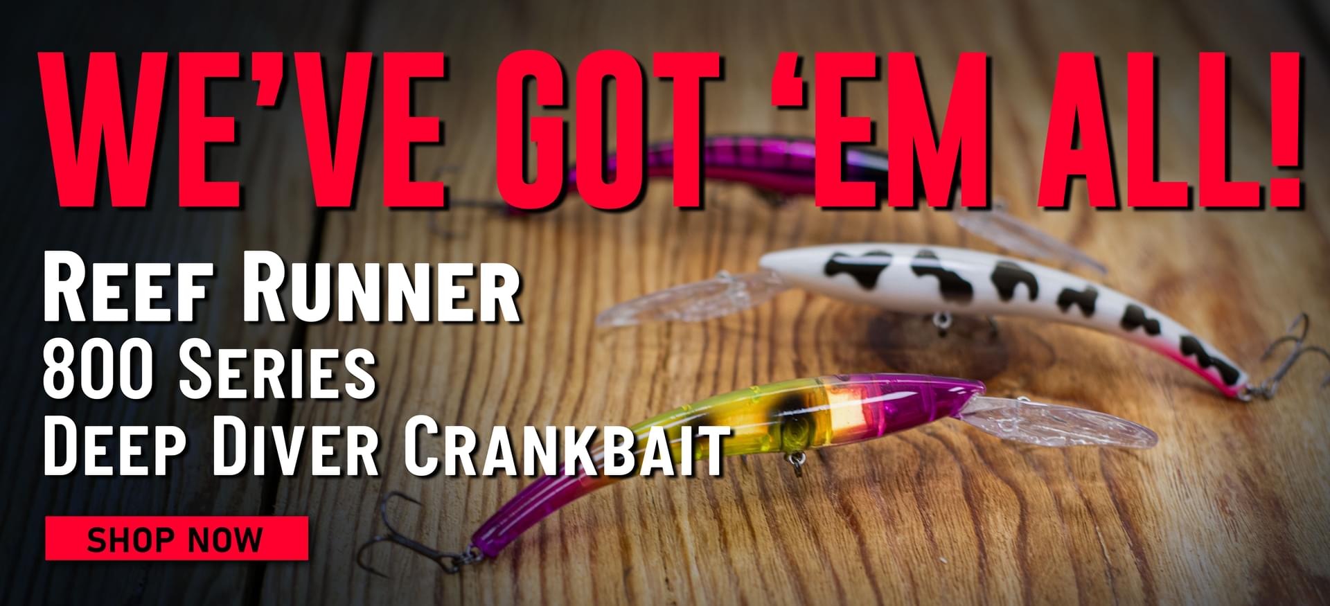 We've Got 'Em All! Reef Runner 800 Series Deep Diver Crankbait Shop Now