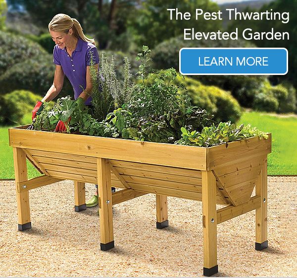 The Pest Thwarting Elevated Garden - Hammacher Schlemmer