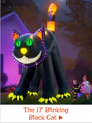 The 17' Blinking Black Cat