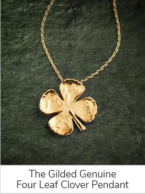 The Gilded Genuine Four Leaf Clover Pendant