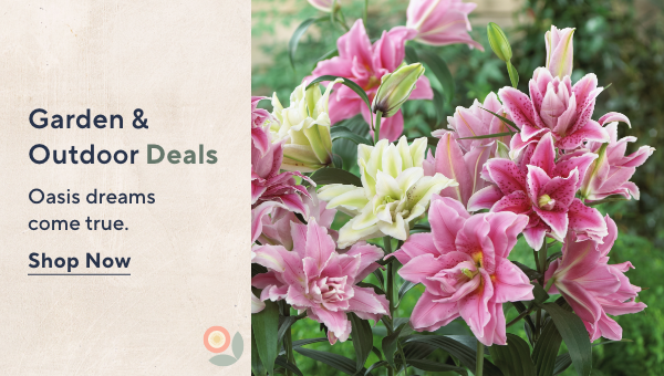 garden and outdoor deals