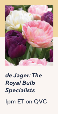 de Jager: The Royal Bulb Specialists