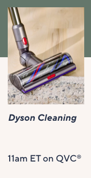 Dyson Cleaning