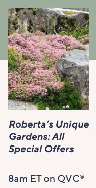 Roberta's Unique Gardens - All Special Offers