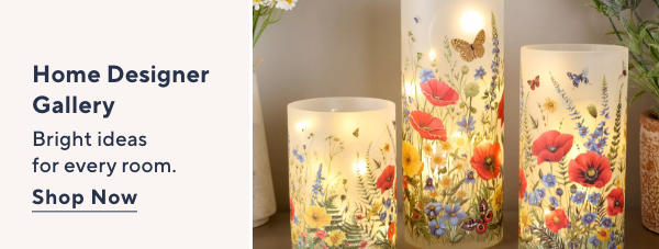 Home Designer Gallery