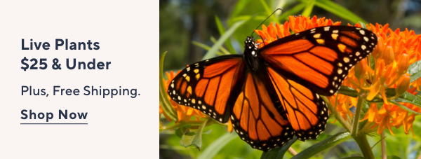 Live Plants $25 & Under