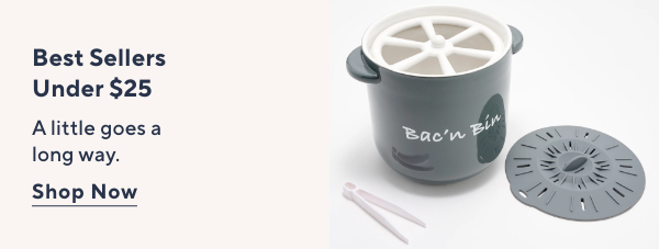 Best Sellers Under $25